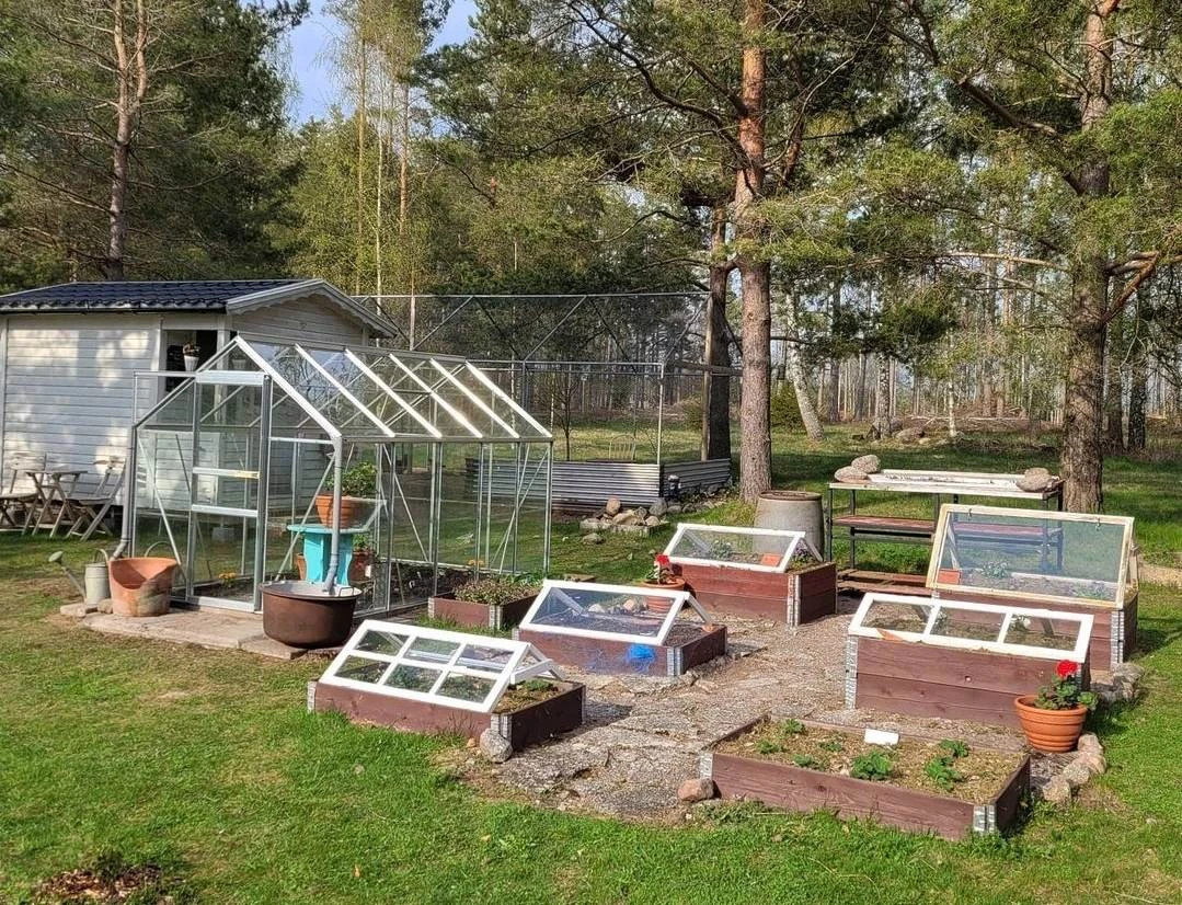 Ställ fönster över pallkragen för att bevara värmen nere i jorden.