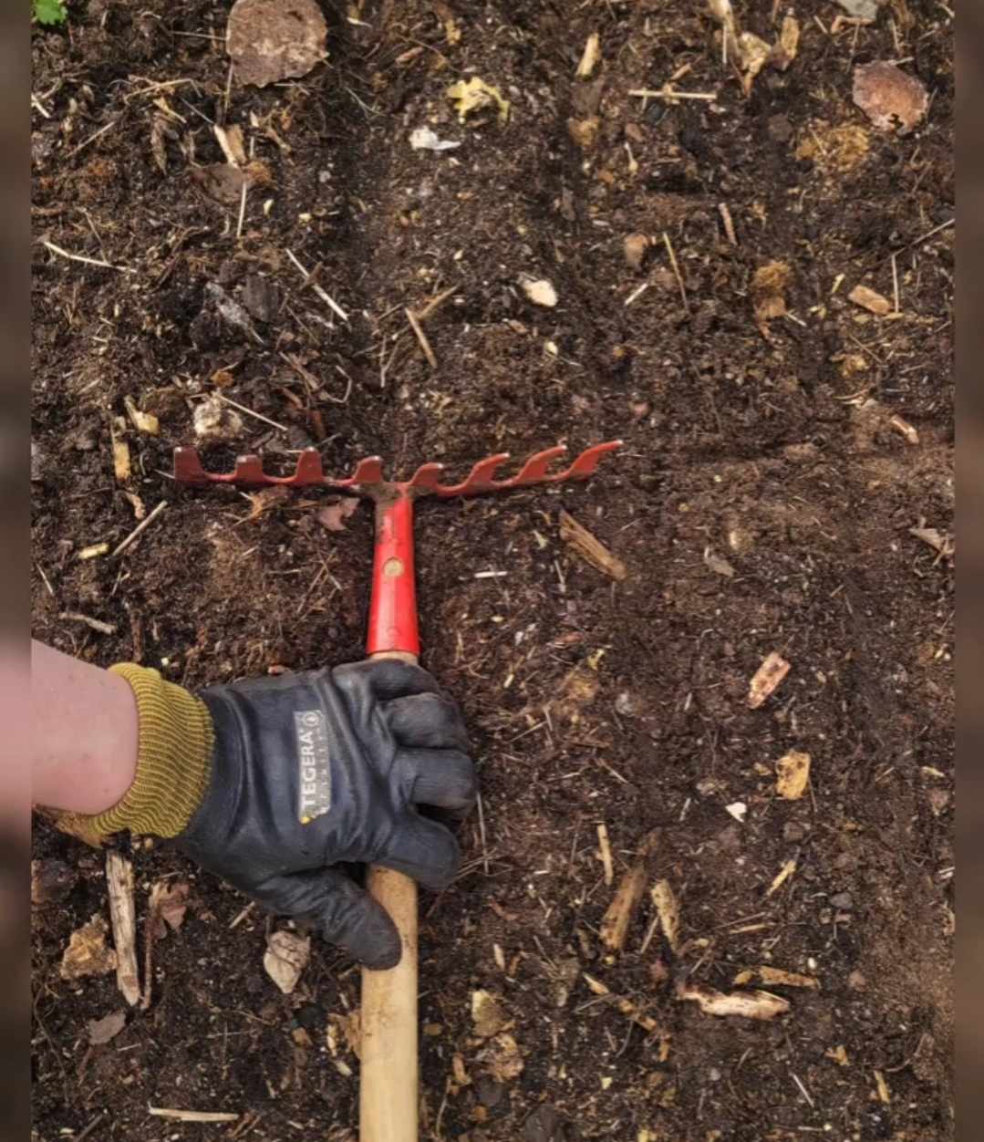 Gör sårader med en liten kratta eller sopborste.