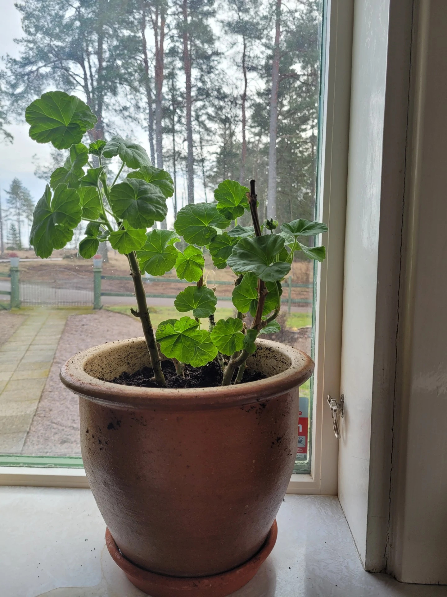FÄRDIGT!