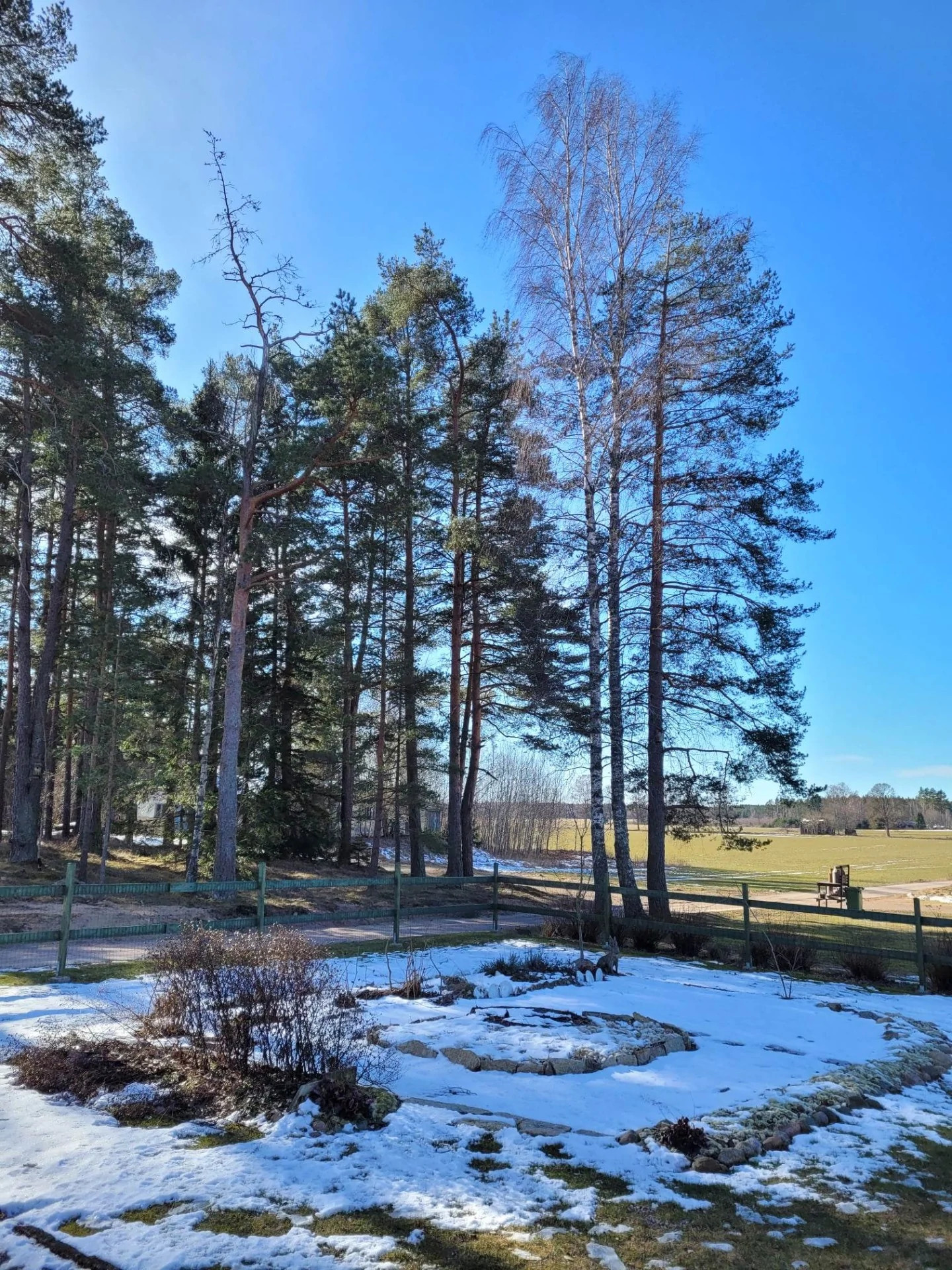 Blomsterträdgården i mars