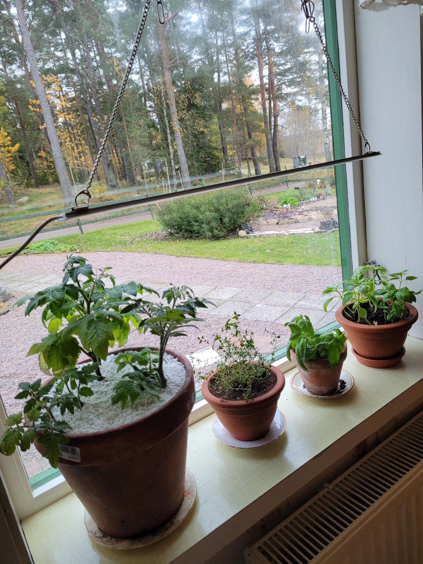 Utan växtbelysning